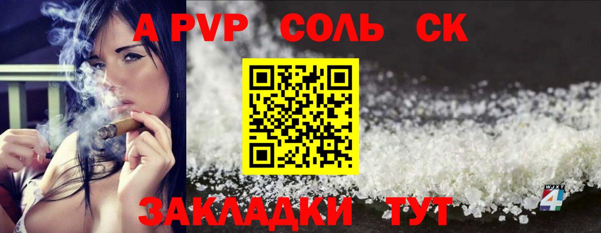 A PVP СК Вышний Волочёк