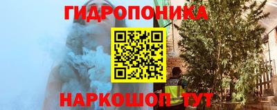 крисы Апшеронск