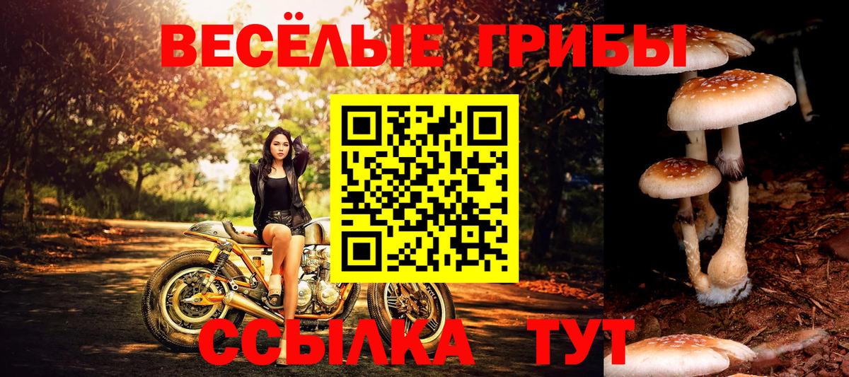 Галлюциногенные грибы Magic Shrooms Вышний Волочёк