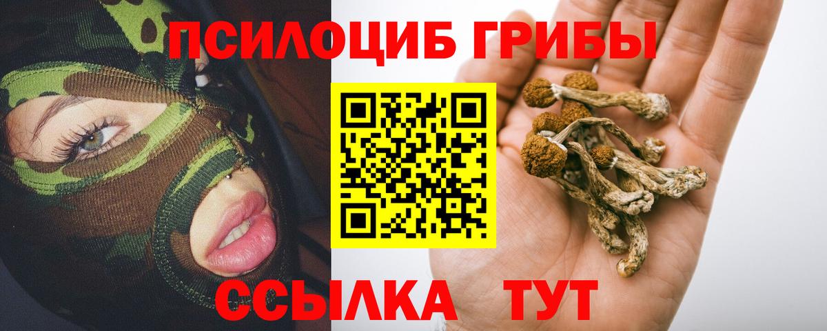 Галлюциногенные грибы Magic Shrooms  Галлюциногенные грибы Magic Shrooms  Вход с VPN  Вышний Волочёк 